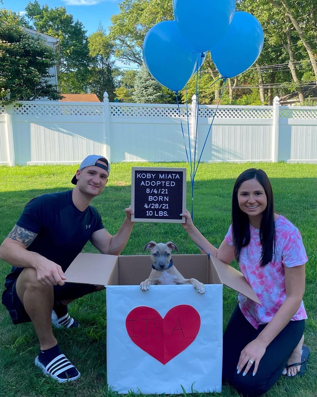 pit bull with his new owners